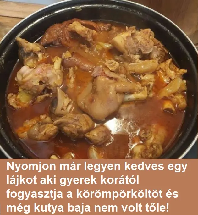 koromporkolt70306 n