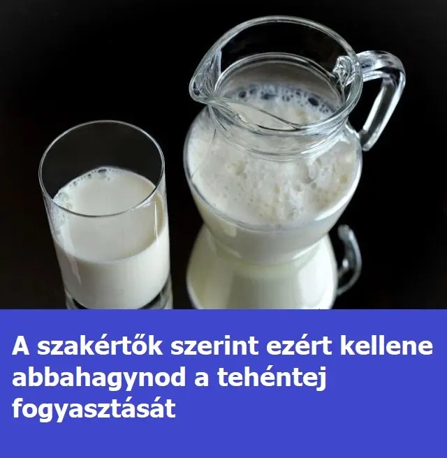 a tehentej fogyasztasat 6479b124925bb