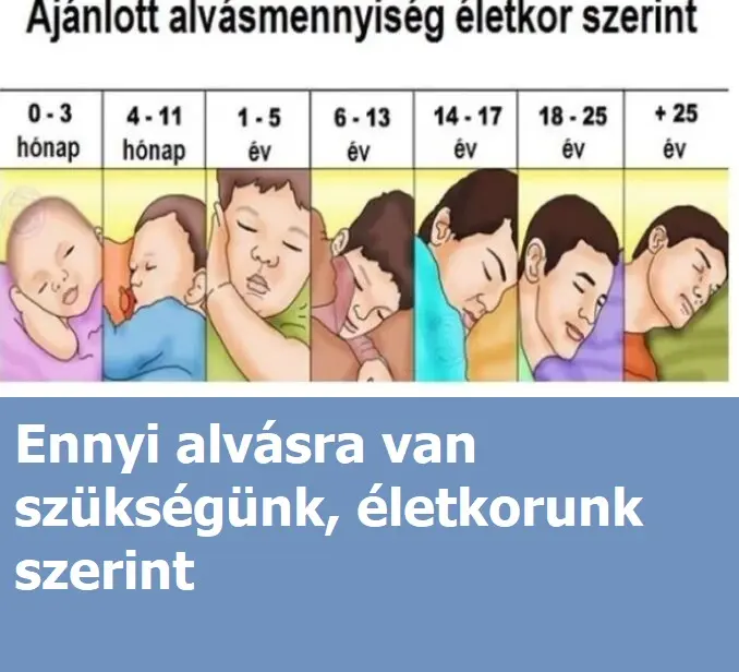 ennyialvas381