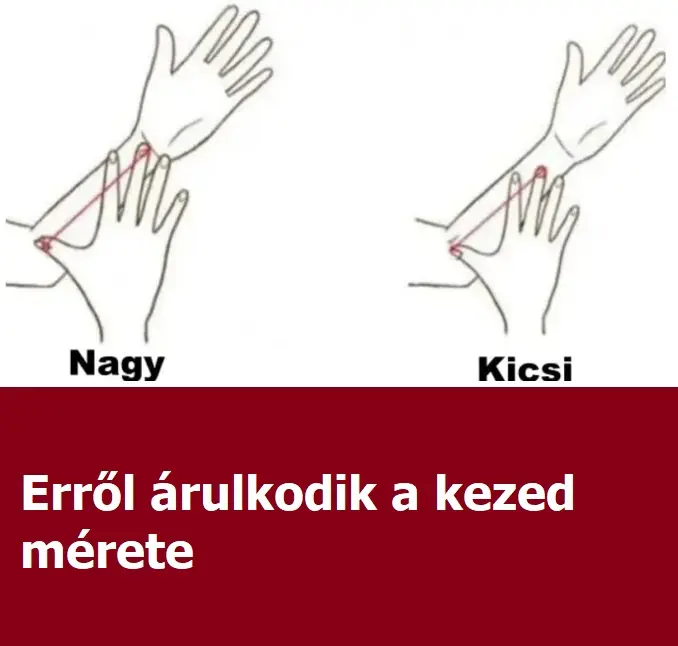 kezedmerete1