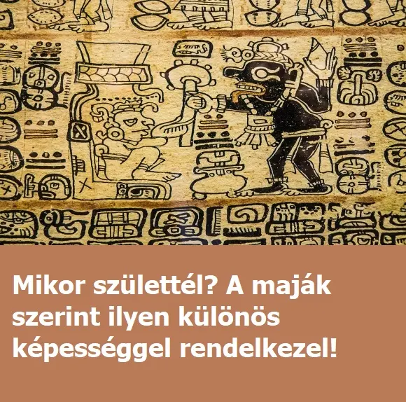majak80