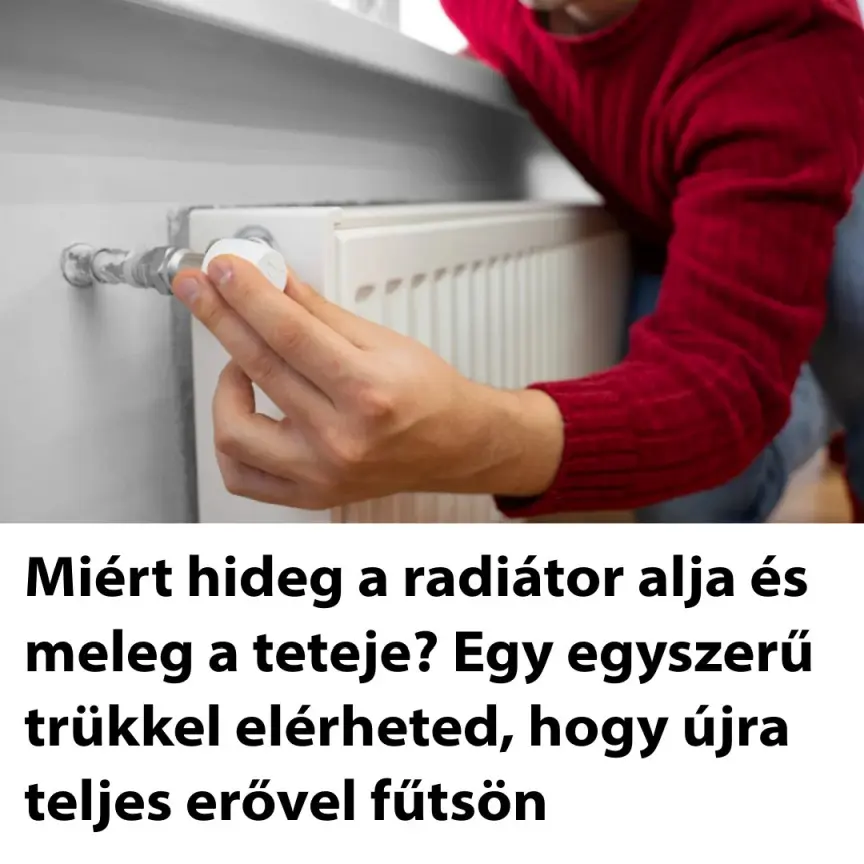 mierthidegradiataralja08 n