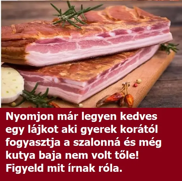 szalonna11243561 n