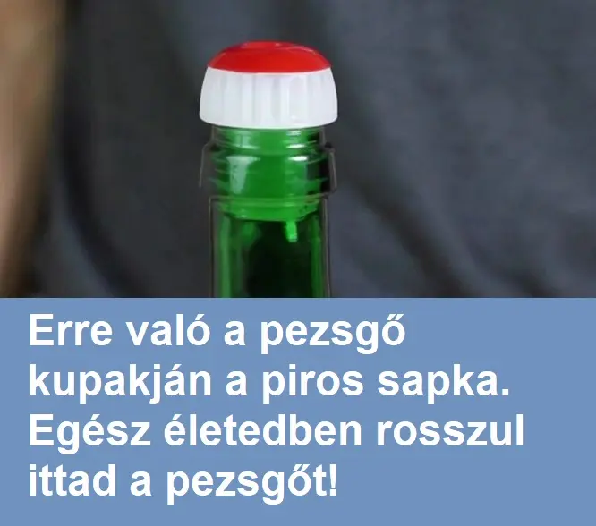 ugr pezsgougr 1024x512