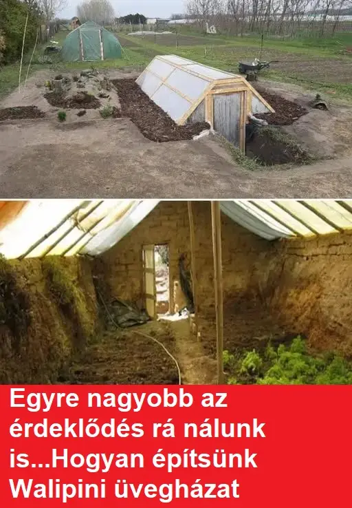 uveghaz95965 2612152810726114308 n