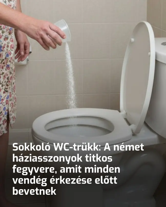 wchasznalat681445 n