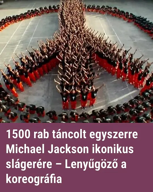 1500rab6306636154686 n