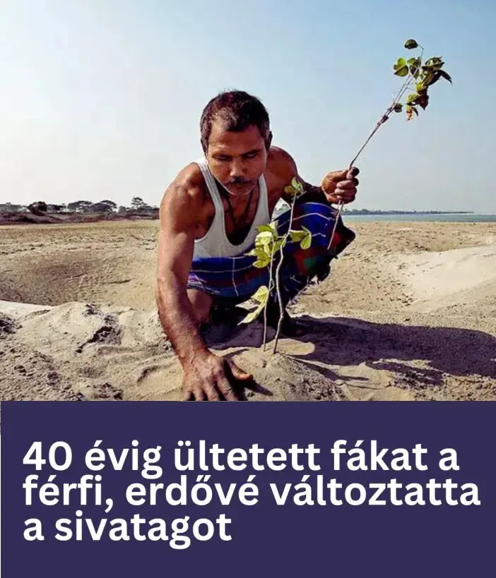 40evigultetteafakatsivatagban8497 n