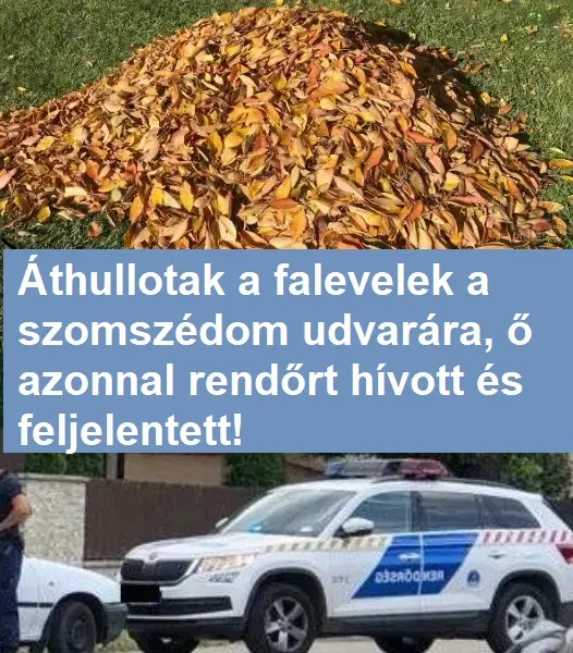 azonnal rendort hivott 671f9eefb7358