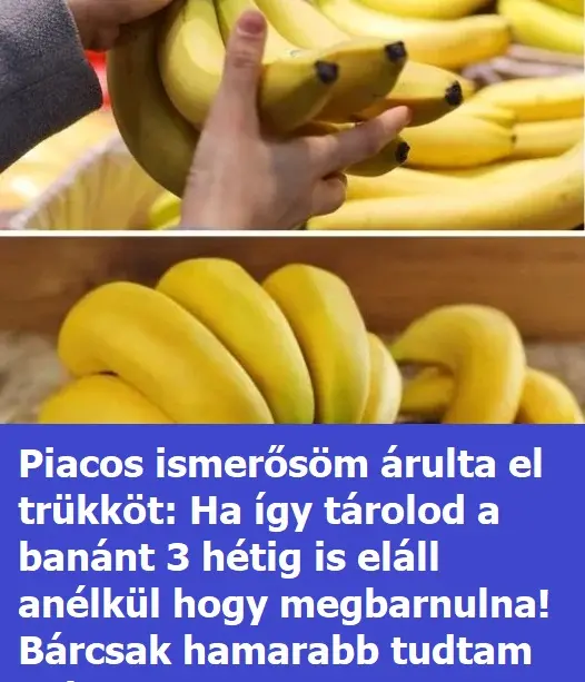 banan1 12T163026.032 526x381