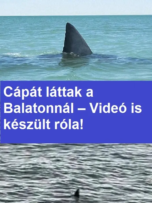 capabalaton9975 2853760018958157186 n
