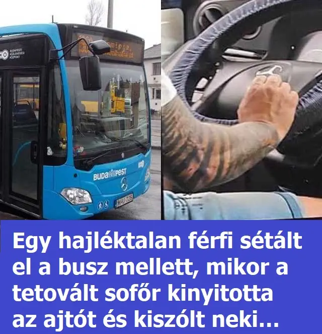 hajlektalanbuszsofor