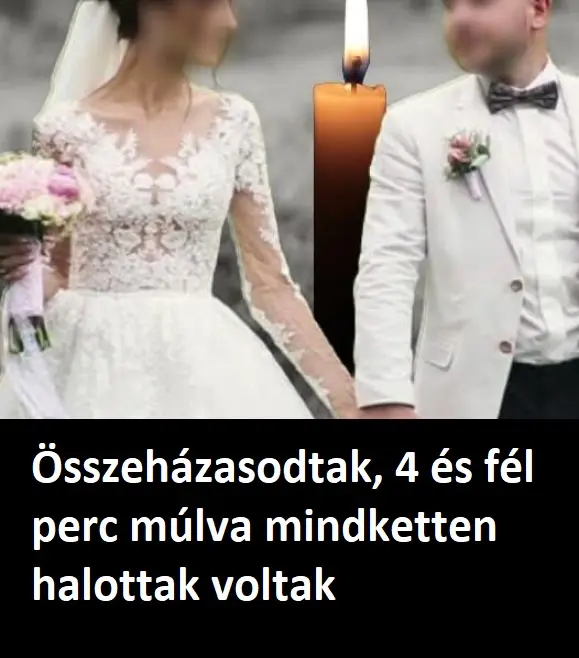 hazasokotpercig 4496715725720342910 n 526x381