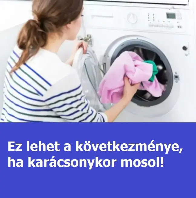 sxcdfvbghj karacsonymosas 195209