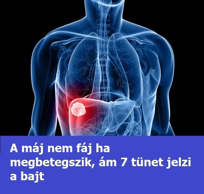 maj