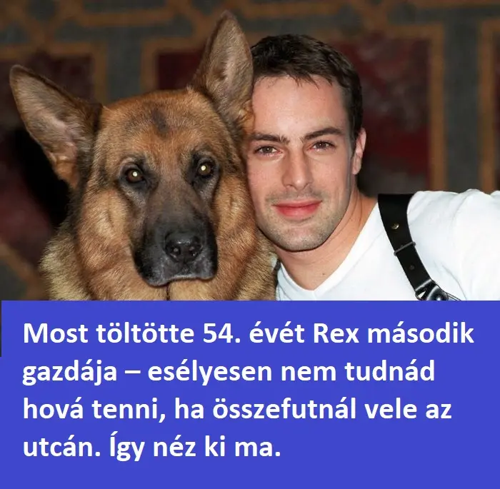 rex wm