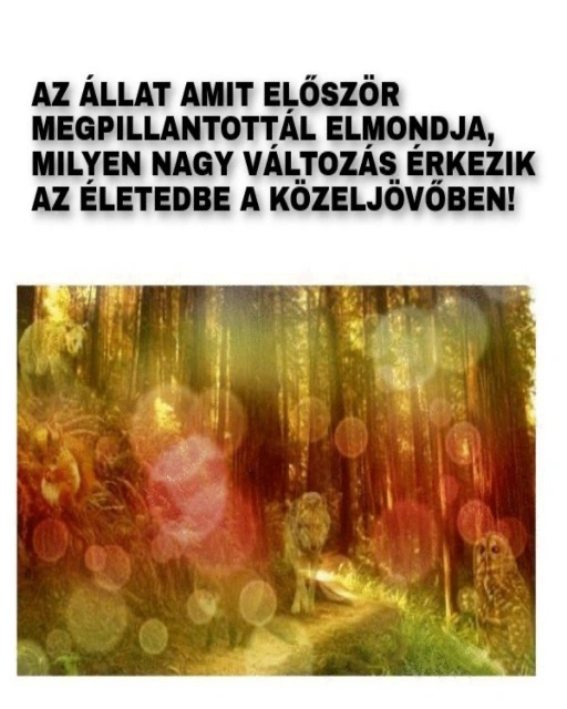 allat amit eloszor megpillantotta