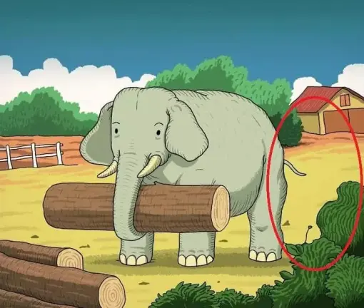 elefant feladat megoldasa lovas