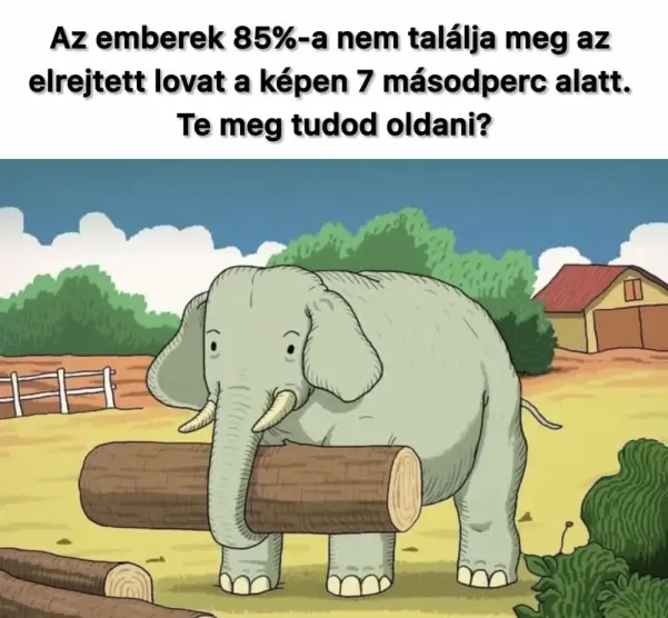 elefant 5909326385548544229 n