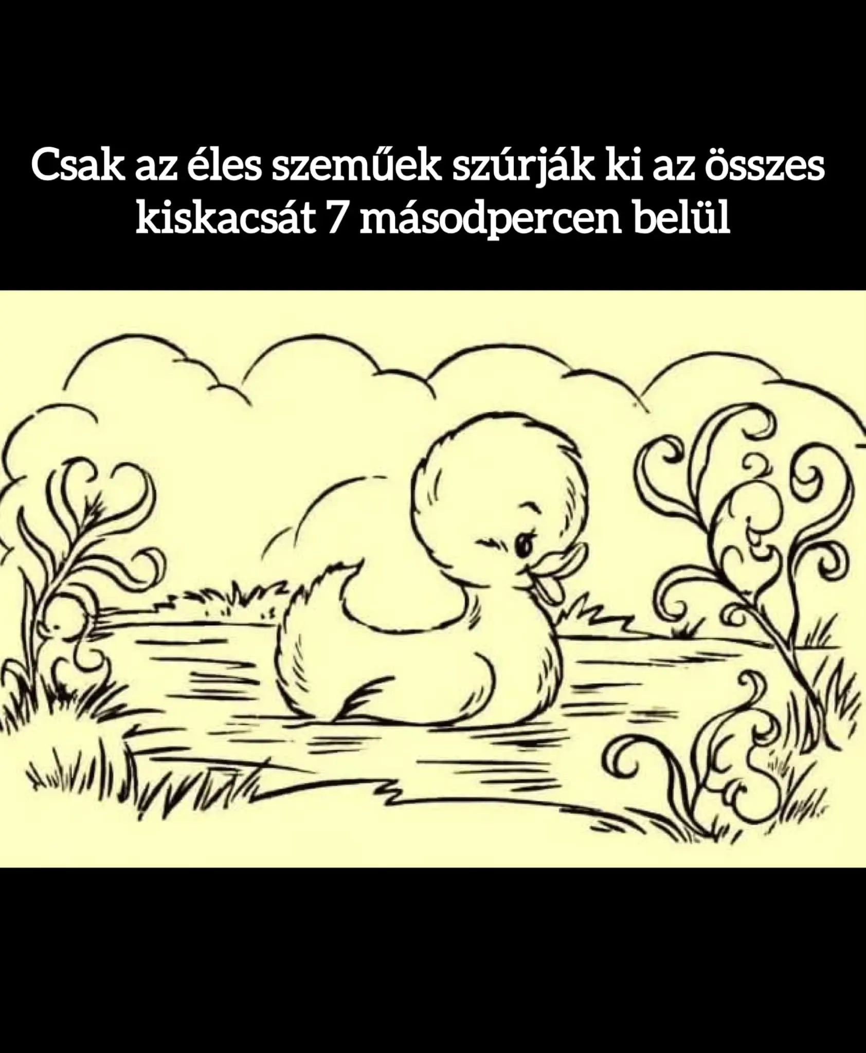 hanykiskacsa3434