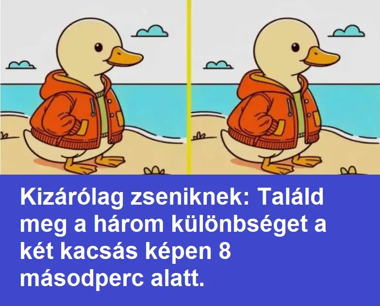 kacsa 870x400