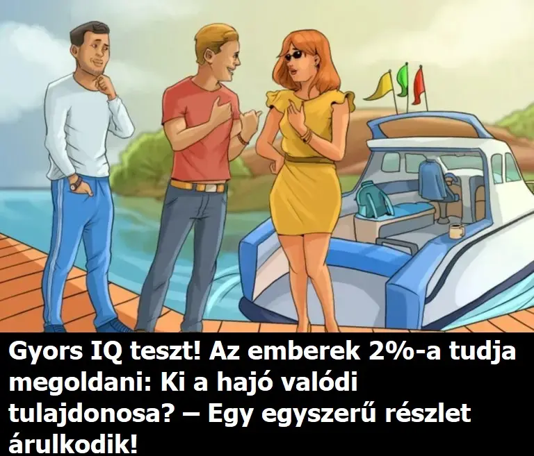tulaj53384327 n