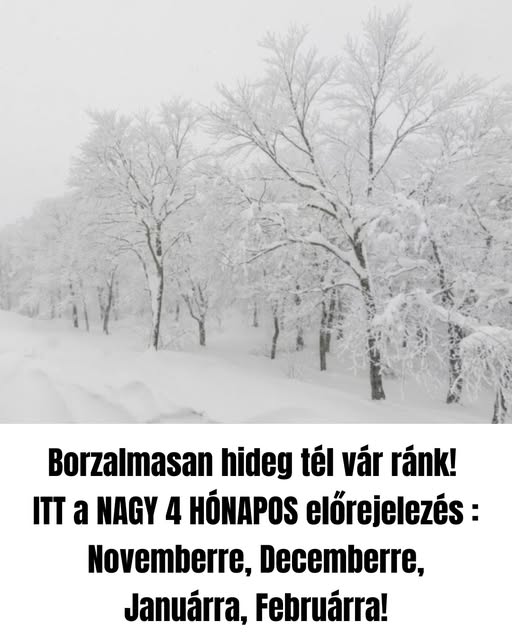 borzalmashidegtel6898 n