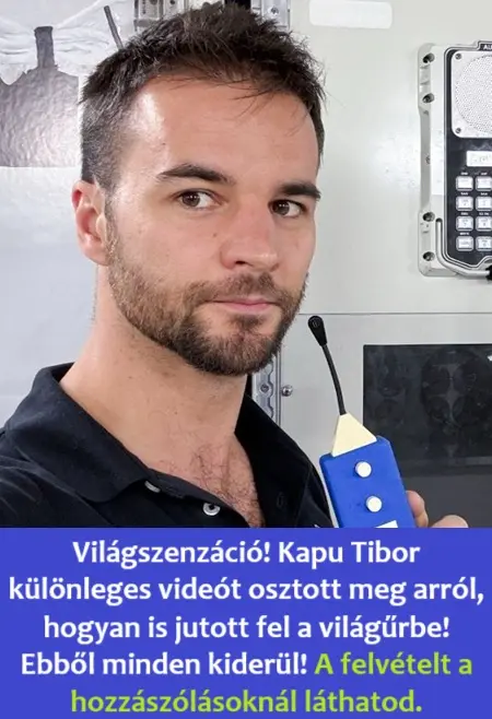 laputibor0874539 n