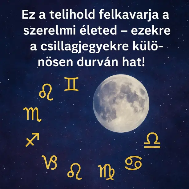 hold a942 6e8d12a7e87b