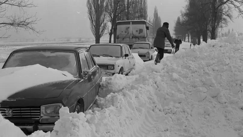 1987hoeses1051499