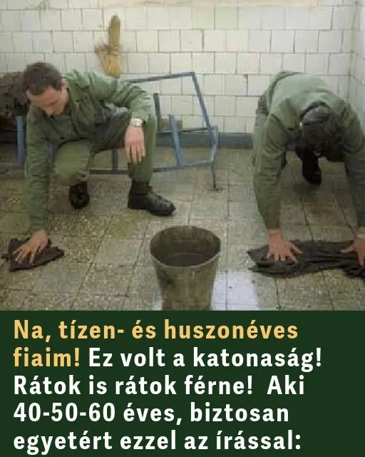ezvoltakataosag936204820 n