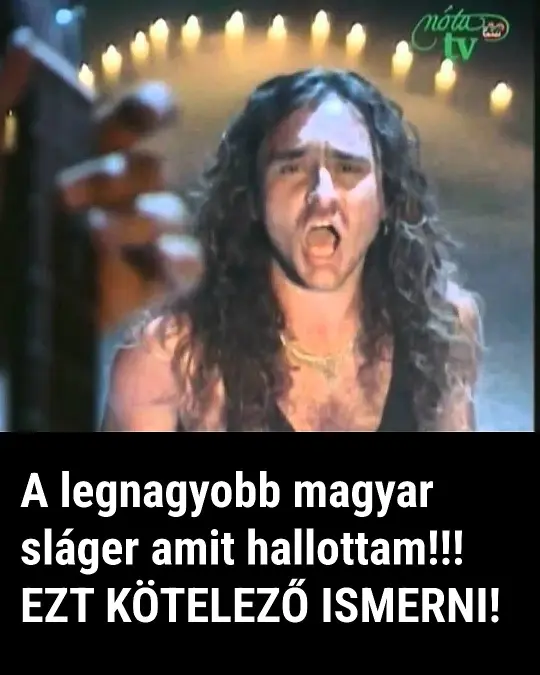 legnagyobbslager 4570892418329022421 n