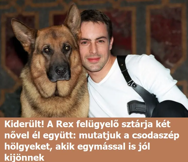 refelügyelo n