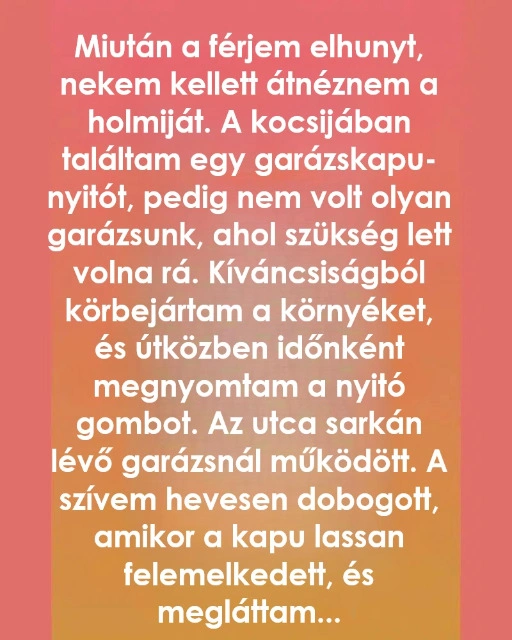 Egy titokzatos garazsnyito