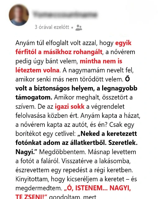 Nagyi utolso ajandeka