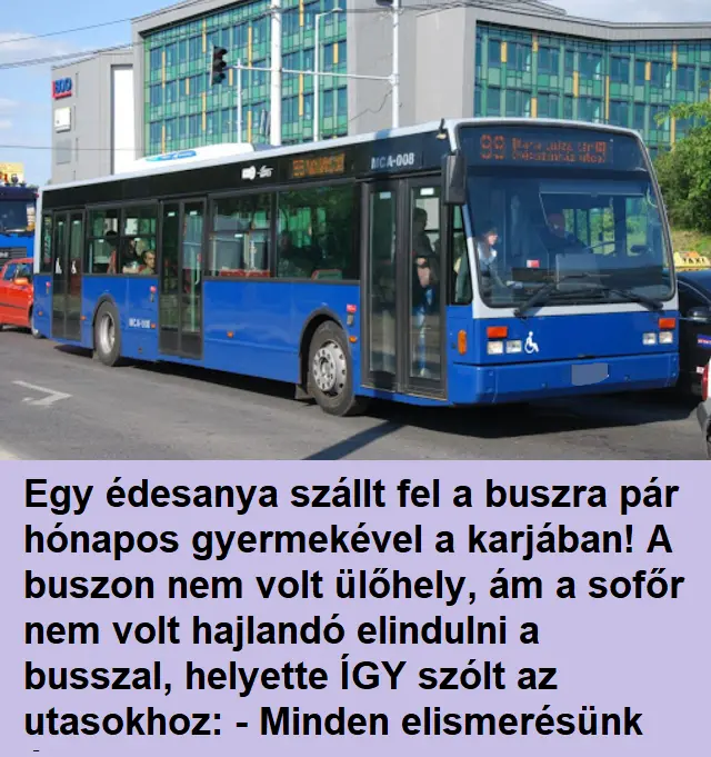 buszkep 5