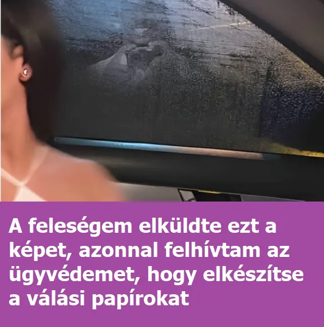 felesegemkepe 1 14 768x432 1 768x400