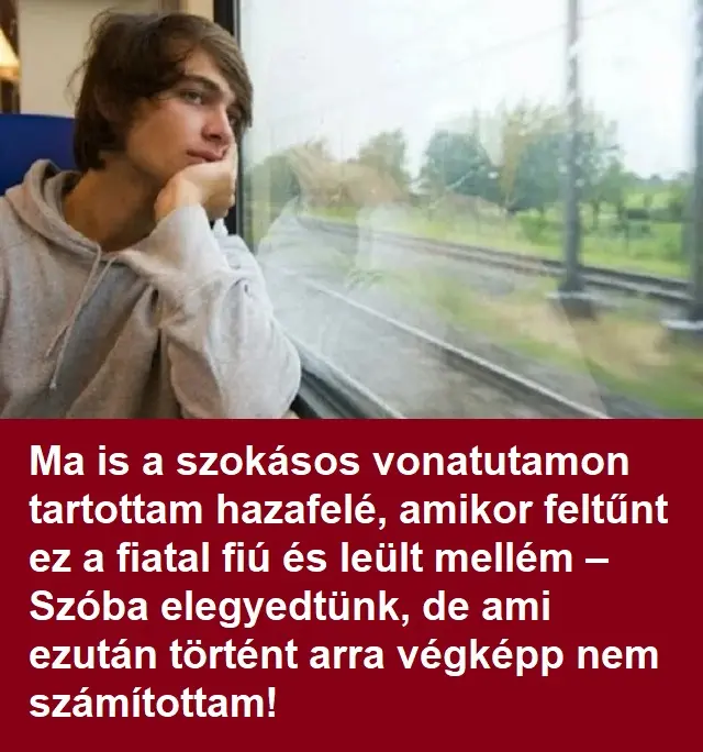 fiubortonbol vonatonx381