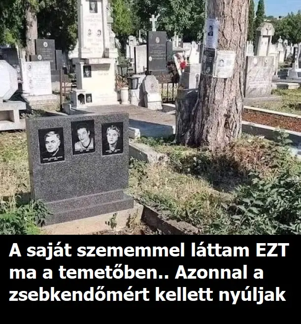 temetobenilyenletezik 18899979 n