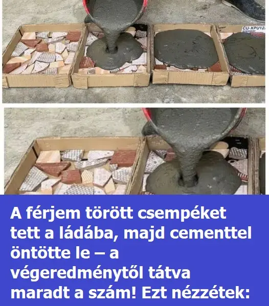 torottcsempe 526x381