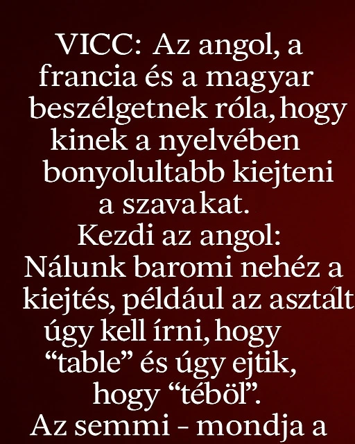 VICC Az angol a francia es a magyar beszelgetnek