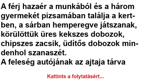 Vicc A ferj hazaer a munkabol jpeg