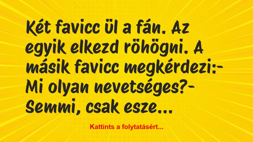 vicc ket favicc ul a fan az egyik elkezd rohogni a masik favicc 1024x576