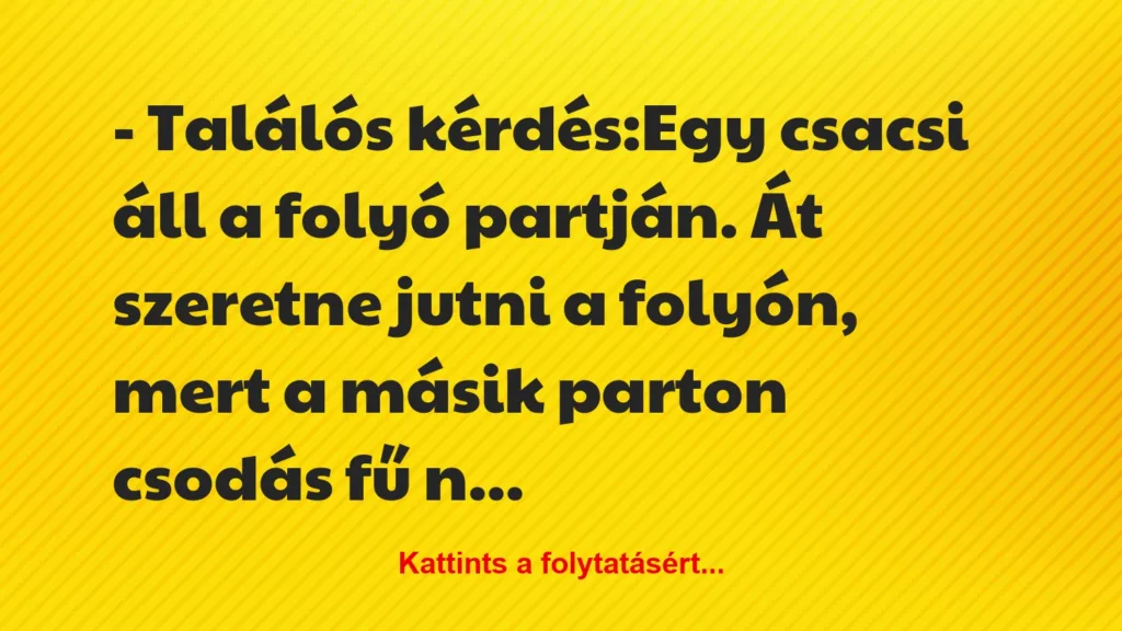 vicc talalos kerdesegy csacsi all a folyo partjan at szeretne jut 1024x576