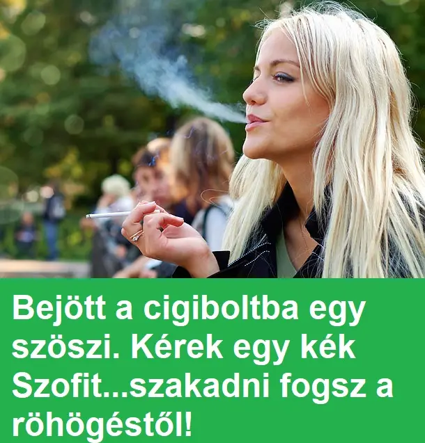 cigi no
