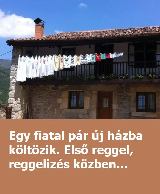 egy fiatal par uj hazba koltozik