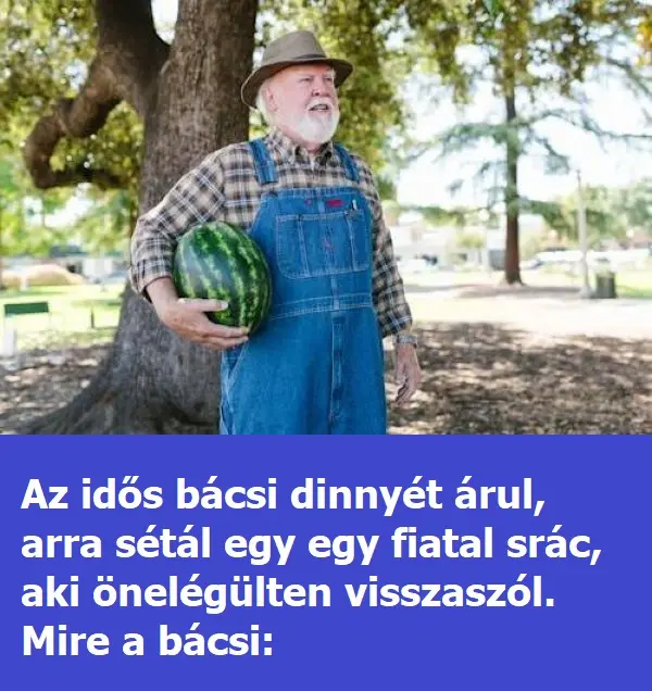 idosbacsi 1744375637581 n